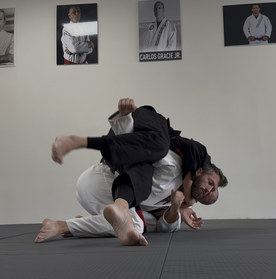Brazilian Jiu-Jitsu Training